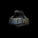 "Freddy" Silver halloween ring